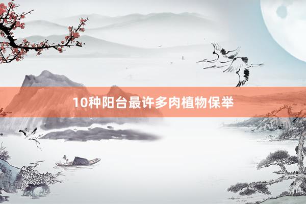 10种阳台最许多肉植物保举
