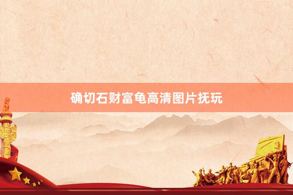确切石财富龟高清图片抚玩