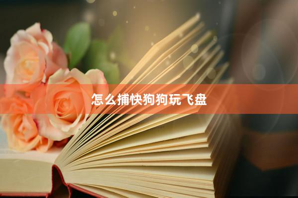 怎么捕快狗狗玩飞盘