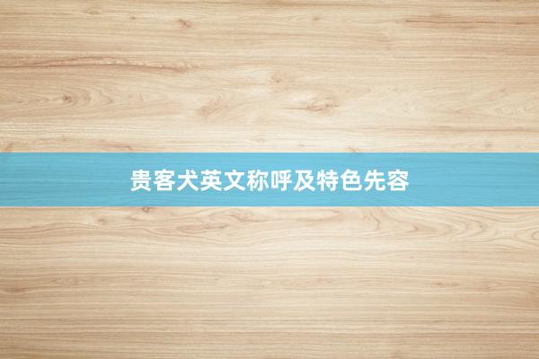 贵客犬英文称呼及特色先容