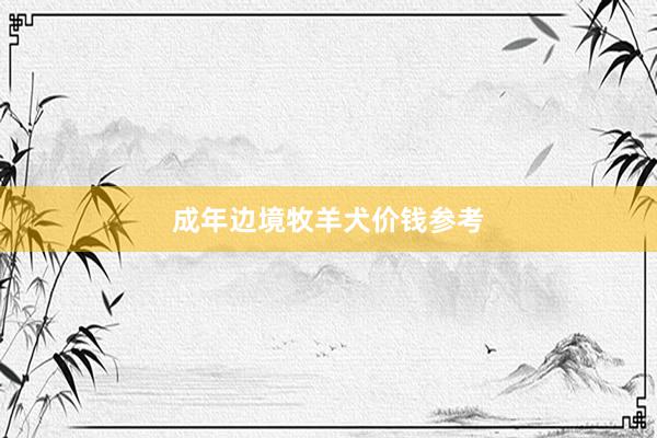 成年边境牧羊犬价钱参考