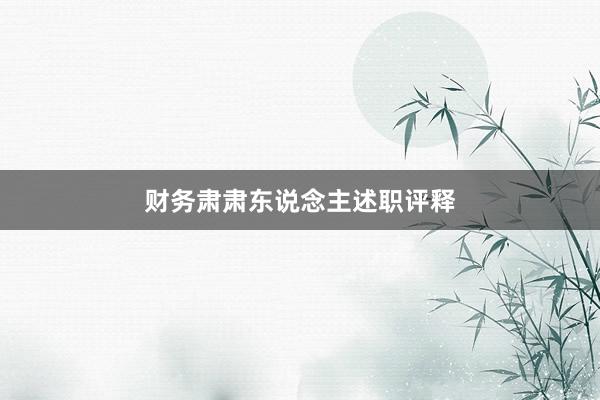 财务肃肃东说念主述职评释